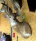 6-Point White Tail Deer Mount