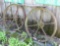 Pair Of Iron Tractor Wheels