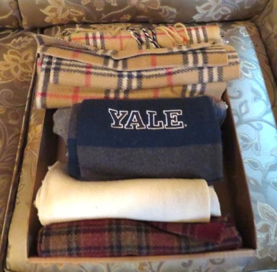 (7+/-) Scarves