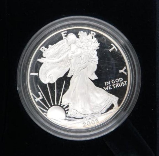 2002 U.S. Silver Eagle Proof Coin