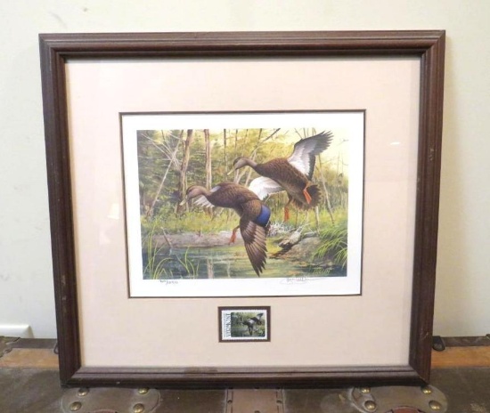 1988 Vermont Migratory Waterfowl Framed Print w/ Stamp