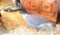 Antique Carved Canadian Goose Decoy