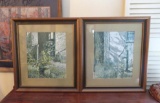 (2) Carolyn Blish Framed Artisan Prints