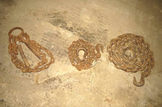 (3) Asst. Chains