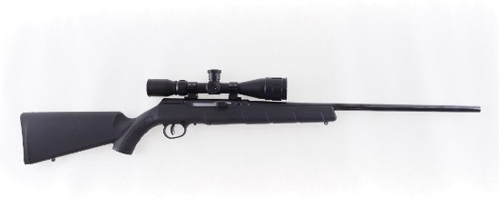 Savage Model A17 Semi-Automatic Rifle
