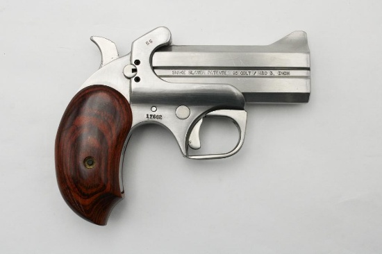 Bond Arms Snake Slayer Derringer