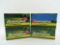 (80) Remington .35 Remington Cartridges