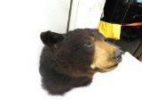 Black Bear Head Mount
