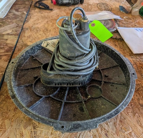 Little Giant Water Pump