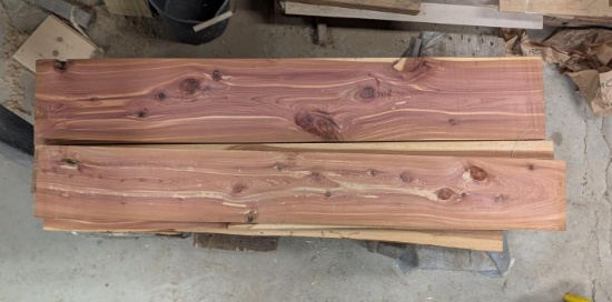 (20) Aromatic Cedar Shorts