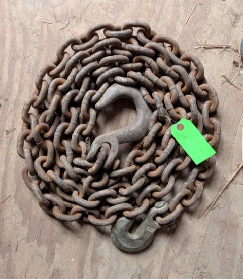 12' of 3/8" Chain