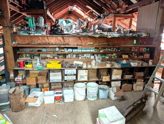 Very Large Lot of Nails/Fasteners