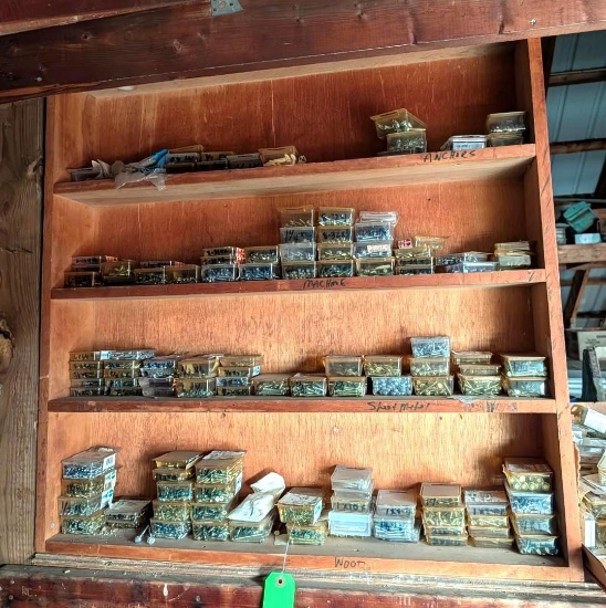 Steel Wood Screws