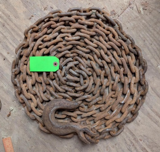 19' of 1/4" Chain