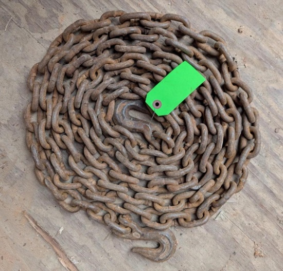16' of 1/4" Chain