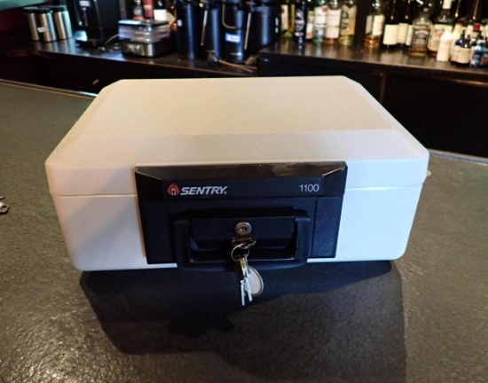 Sentry 1100 Fireproof Safe w/ Key