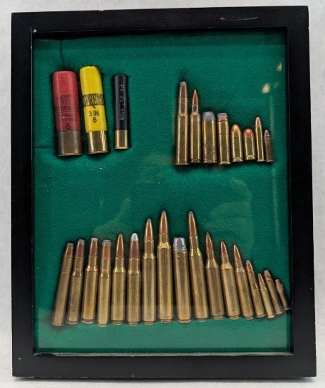 Cased (28) Pc. Cartridge Collection