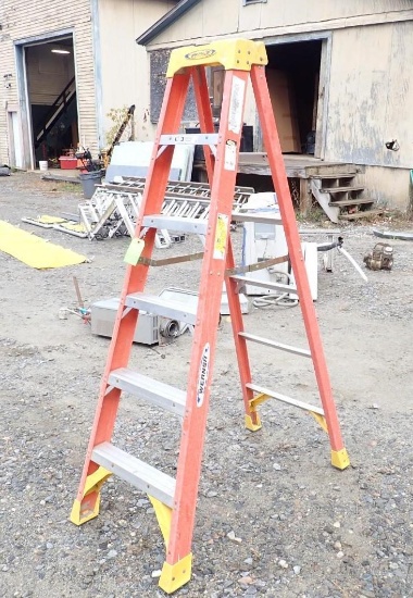 Werner 6' Ladder