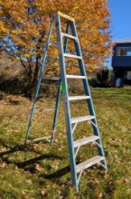 Werner 8' Fiberglass Step Ladder