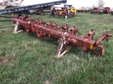 Lilliston 6 Row Rolling Cultivator