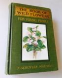 The Book of Wild Flowers for Young People (1923)