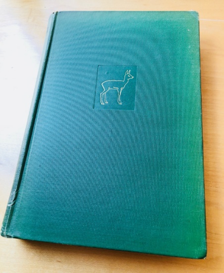 BAMBI by Felix Salten (1929) First American Trade Edition