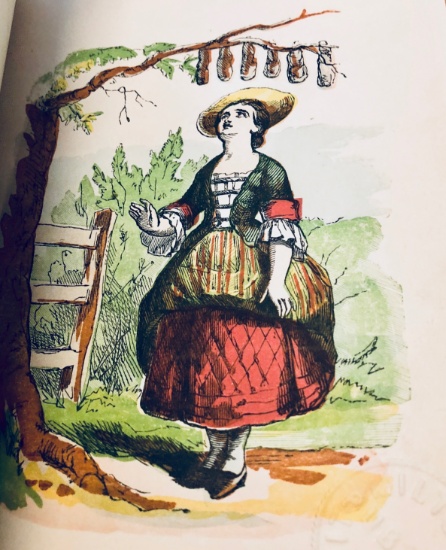 The Child's Pleasure Book (1860) with Wonderful COLOR PLATES