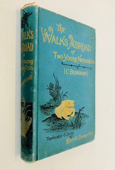 The Walks Abroad of Two Young Naturalists by David Sharp (c.1890)