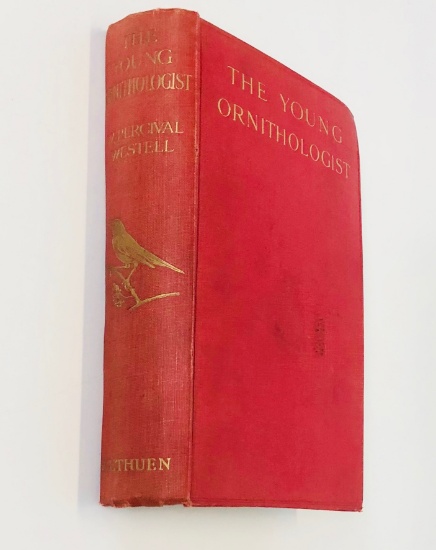 The Young ORNITHOLOGIST (1911) by Percival Westell (1911) UK