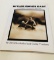 HITLER MOVES EAST: A Graphic Chronicle 1941-1943 WW2
