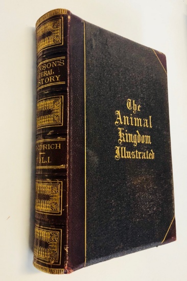 RARE Johnson's ANIMAL KINGDOM with Wonders & Curiosities (1872) Illustrated Engravings