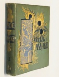 WIDE AWAKE Magazine Bound (1885) Children's Illustrated