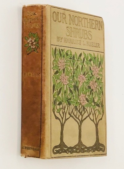 Our Northern Shrubs And How To Identify Them: A Handbook For The Nature-lover (1928)