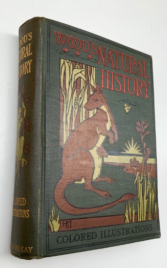 The New Illustrated Natural History by Rev. J. G. Wood (c.1930) Illustrated