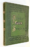 Forest, Rock, and Stream - A Series of Twenty Steel Engravings (1886) CATSKILLS NEW YORK