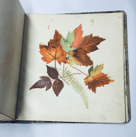 1850's Book on Flowers with Color Illustrations