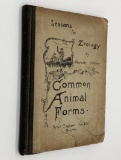 Common ANIMAL Forms by Clarabel Gilman (1898) Lessons of ZOOLOGY