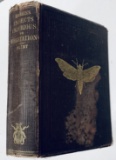 Treatise on Some of the Insects Injurious to Vegetation (1863)