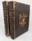 PICTURESQUE AMERICA: Land We Live In (1872) 49 STEEL ENGRAVINGS of UNITED STATES  - Two Volume Set