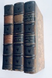 RARE Pictorial History of the Civil War in the United States of America (1866) Three Volume Set