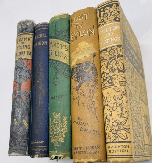 Decorative Antiquarian BOOK LOT (1880-1900) Colorful Covers