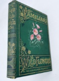Familiar WILD FLOWERS (c.1880) with 40 COLOR PLATES