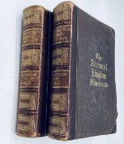 RARE Johnson's Natural History (1872) Two Volume Set Illustrated