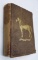 RARE Morgan Horses: A Premium Essay (1857)