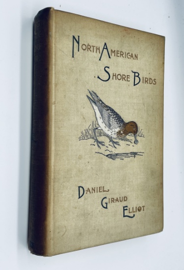 NORTH AMERICAN SHORE BIRDS: A History of the Snipes, Sandpipers, Plovers and their Allies (1895)