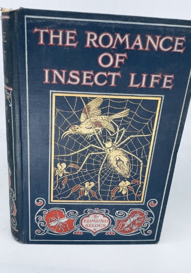 The Romance of Insect Life: Descriptions of the Strange and Curious in the Insect World (1906)
