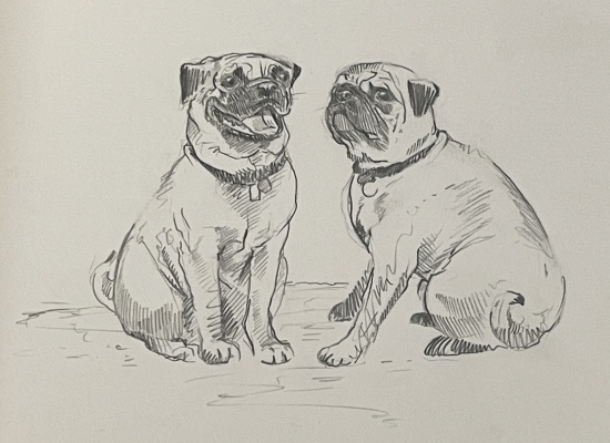 RAREST Seventeen Original Sketches from THE HIDDEN LIFE OF DOGS