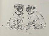 RAREST Seventeen Original Sketches from THE HIDDEN LIFE OF DOGS