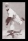 1947-1966 Exhibit Card Billy Pierce Chicago White Sox (1960 & 1961 Only). E