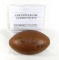 Jerry Rice Autographed Football with COA Steinsports.